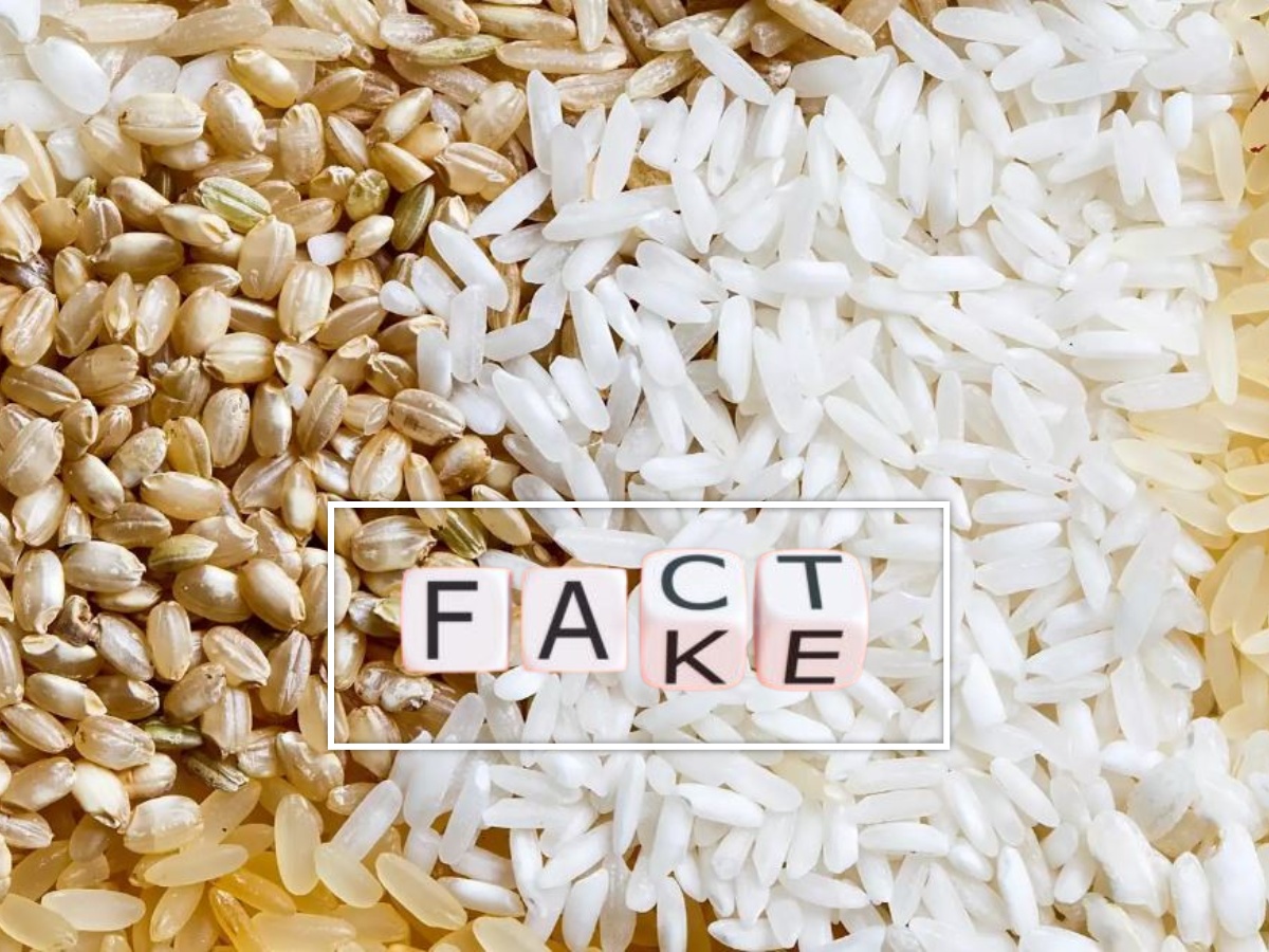 Distinguishing Truth from Myth Exposing the Falsehood of Plastic Rice