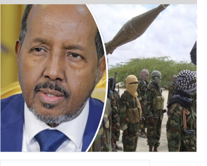 Any Change Prematurely in the Arms Embargo Policy on Somalia Poses